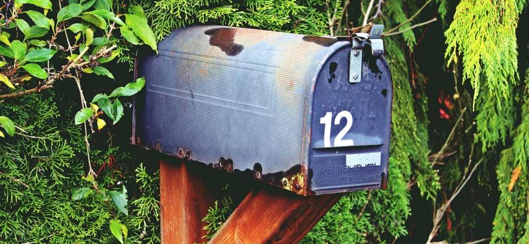 newsletter